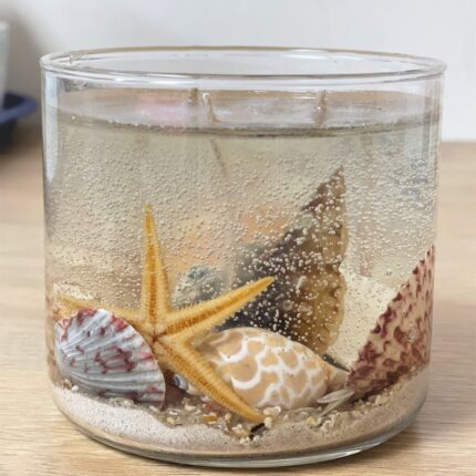 Seaside Candle with Sand & Seashells