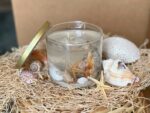 Seaside Candle with Sand & Seashells - Image 7